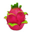 Betta Dragon Fruit House