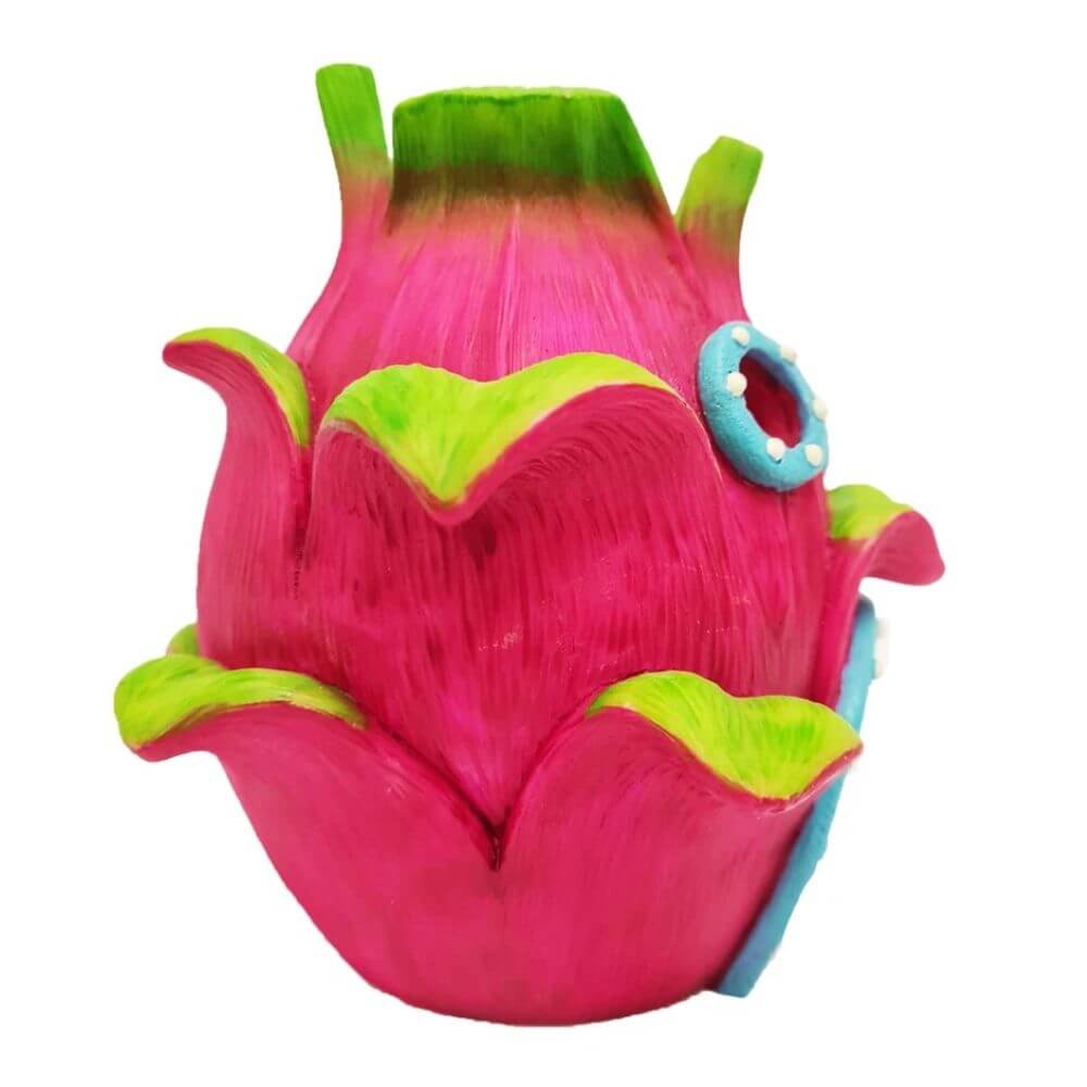 Betta Dragon Fruit House