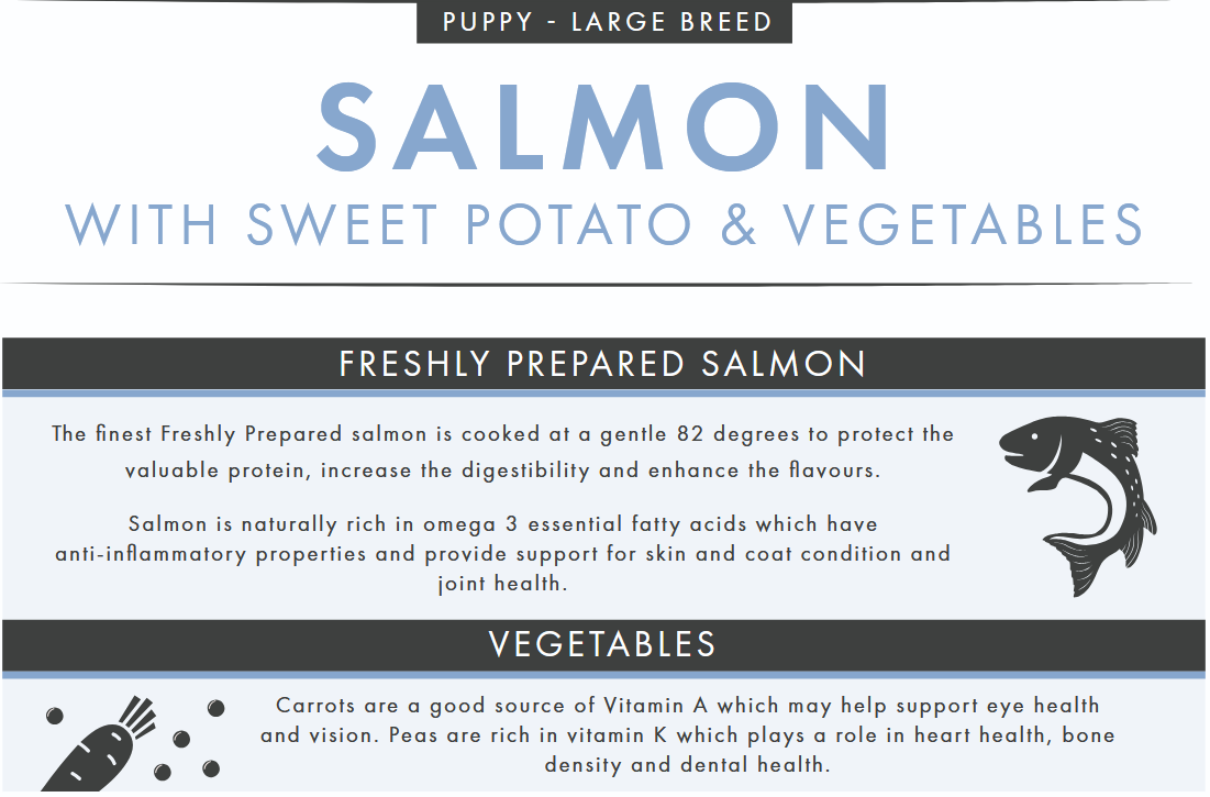 Salmon & Sweet Potato (Puppy, Large Breed) | Hypoallergenic Dry Dog Food | Grain Free by Pet Connection