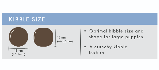 Salmon & Sweet Potato (Puppy, Large Breed) | Hypoallergenic Dry Dog Food | Grain Free by Pet Connection