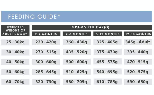 Salmon & Sweet Potato (Puppy, Large Breed) | Hypoallergenic Dry Dog Food | Grain Free by Pet Connection