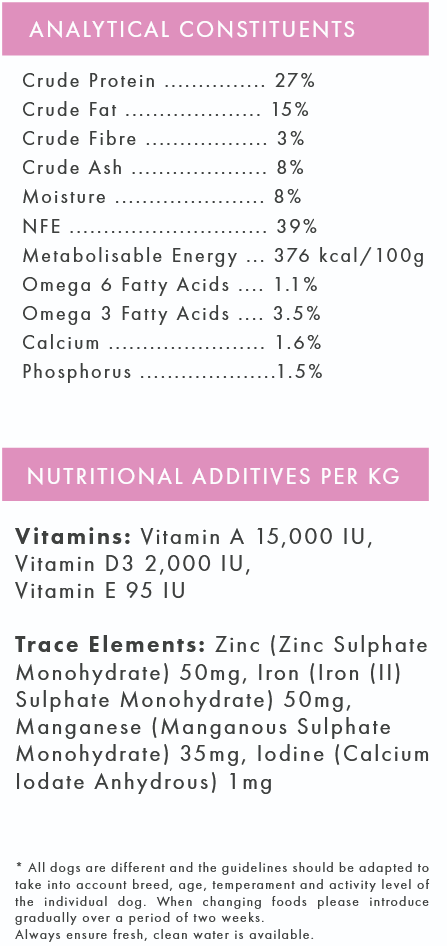 Salmon & Trout (Small Breed) | Hypoallergenic Dry Dog Food | Grain Free by Pet Connection