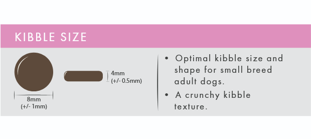 Salmon & Trout (Small Breed) | Hypoallergenic Dry Dog Food | Grain Free by Pet Connection