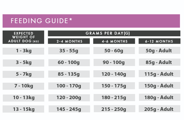 Turkey & Duck (Puppy, Small Breed) | Hypoallergenic Dry Dog Food | Grain Free by Pet Connection