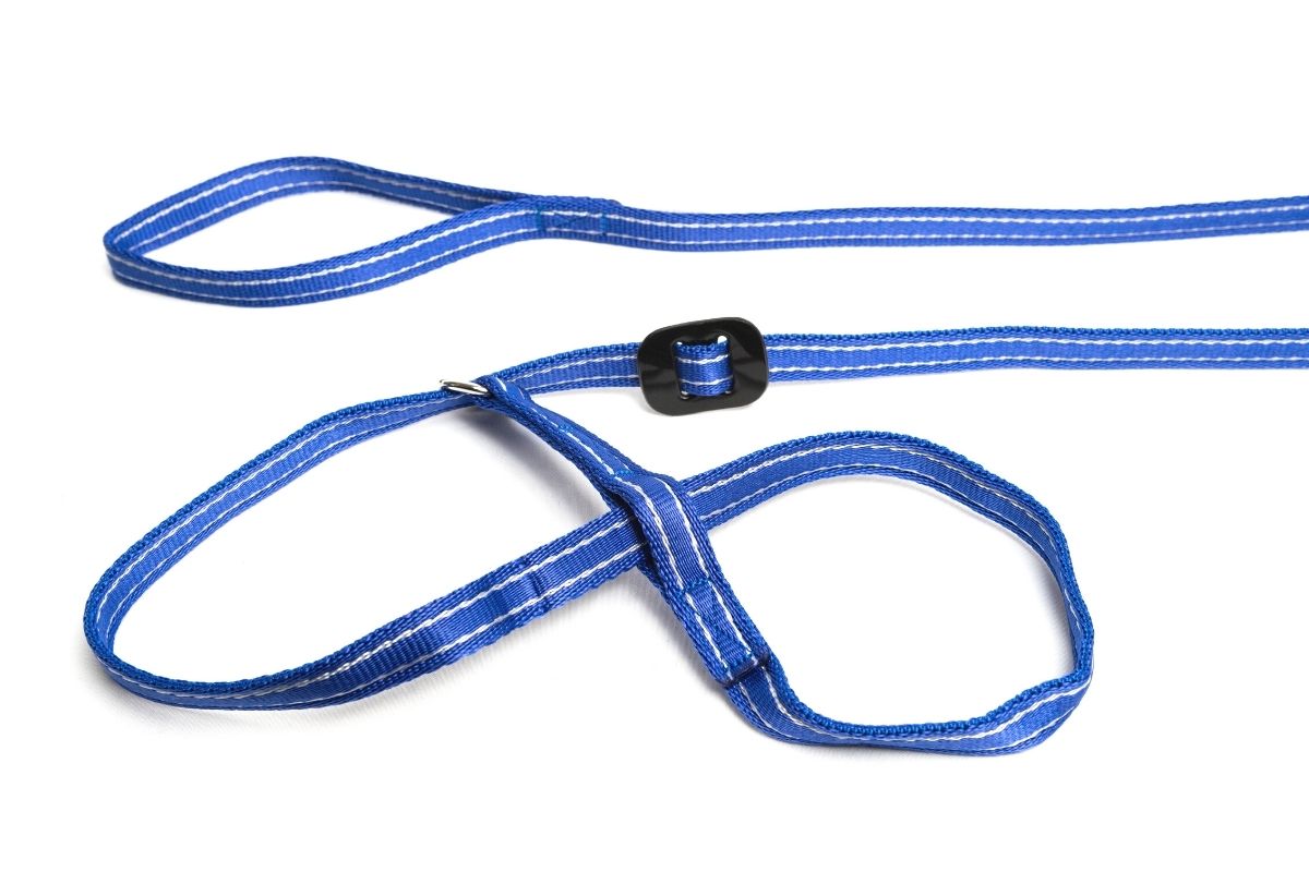 Gencon | Dog Training | All In One No Pull Walking Headcollar & Lead - Blue & White
