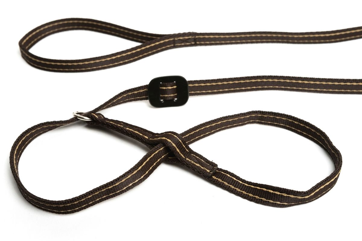 Gencon | Dog Training | All In One No Pull Walking Headcollar & Lead - Coffee & Cream