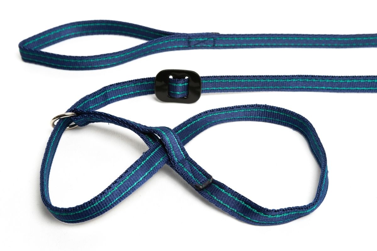 Gencon | Dog Training | All In One No Pull Walking Headcollar & Lead - Navy & Jade