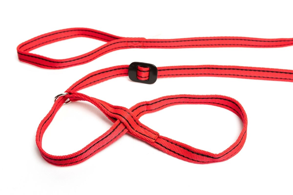 Gencon | Dog Training | All In One No Pull Walking Headcollar & Lead - Red & Black