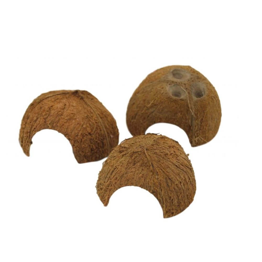 Half Coconut Shelter