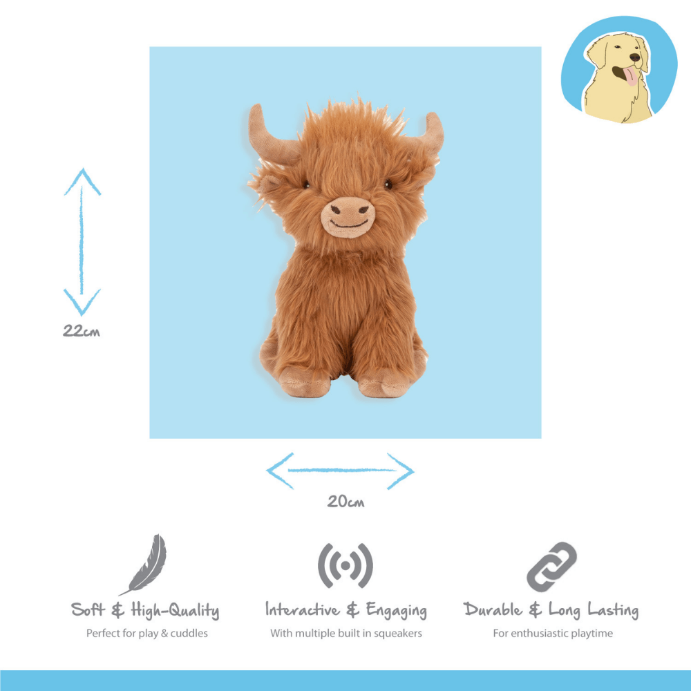 Happy Pet Highland Cow