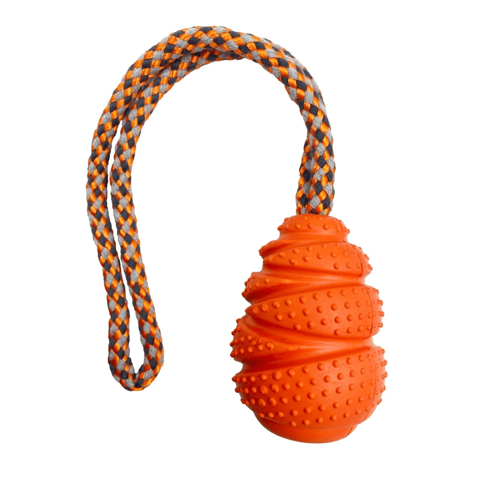 Hem and Boo TPR Cone Toy with Rope Handle 10.8cm