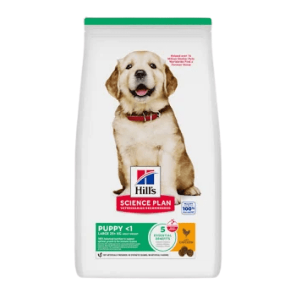 Hills Science Plan Puppy Large Breed 6KG