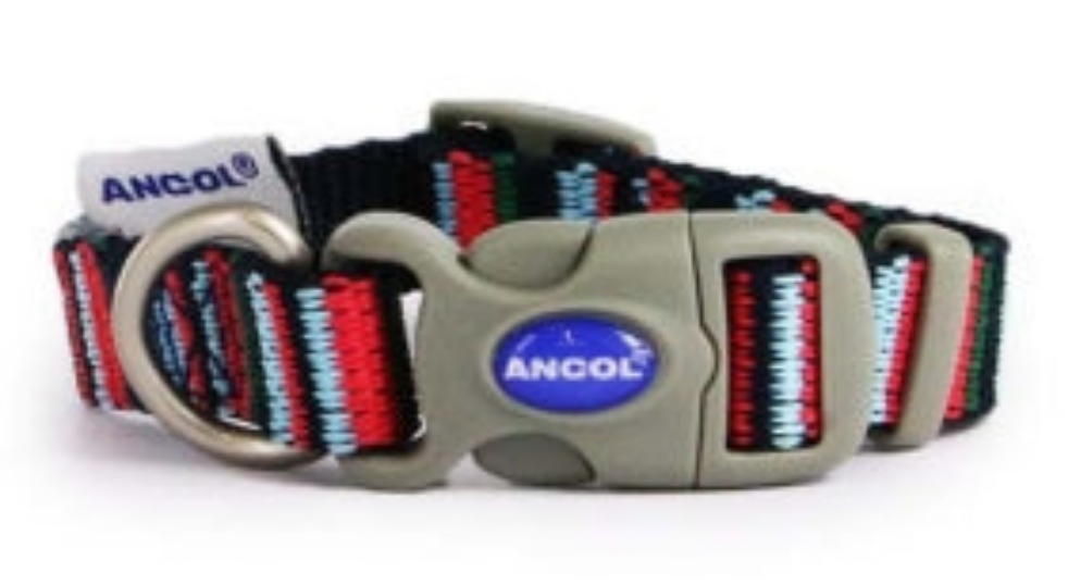 Ancol | Dog Collar | Nylon Adjustable Recycled Candy Stripe Pattern - Navy