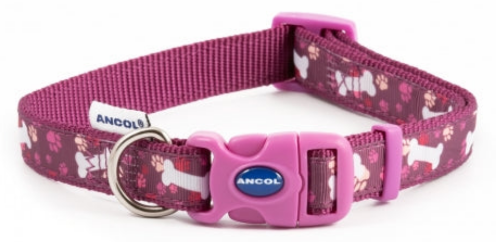 Ancol | Dog Collar | Nylon Adjustable Bone Pattern - Purple
