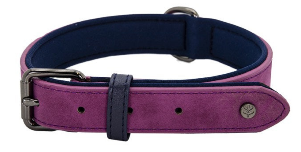 Sotnos BrightsTech | Vegan Leather Dog Collar - Raspberry Purple