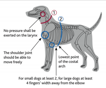 Trixie | Dog Harness | Premium Touring - Red