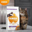 Iams Dry Cat Food Kitten 2kg