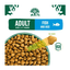 Short Dated Special Offer - James Wellbeloved Dog Fish & Rice 15kg | Dry Dog Food BBD 26/10/26