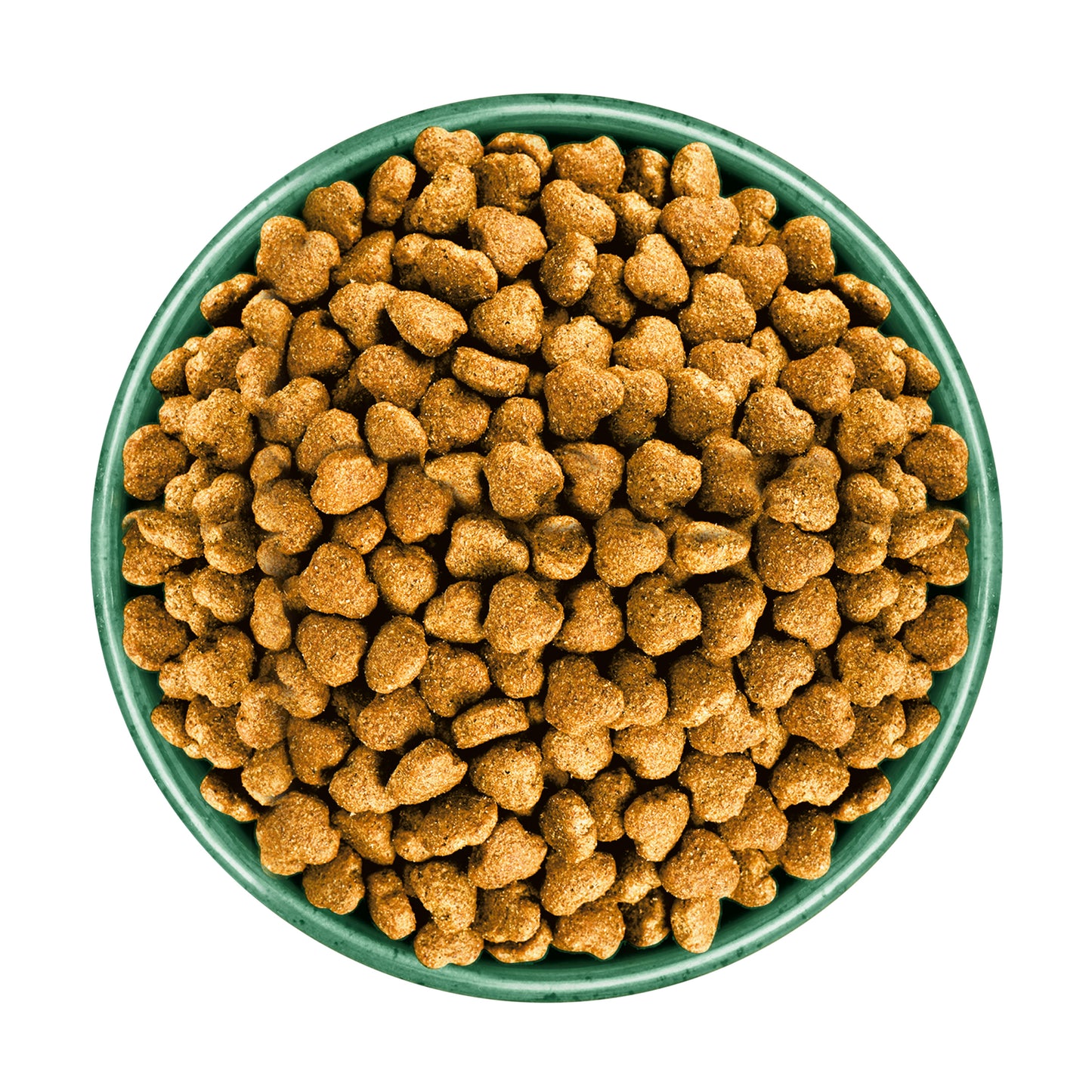 Green bowl filled with brown dog food on a white background