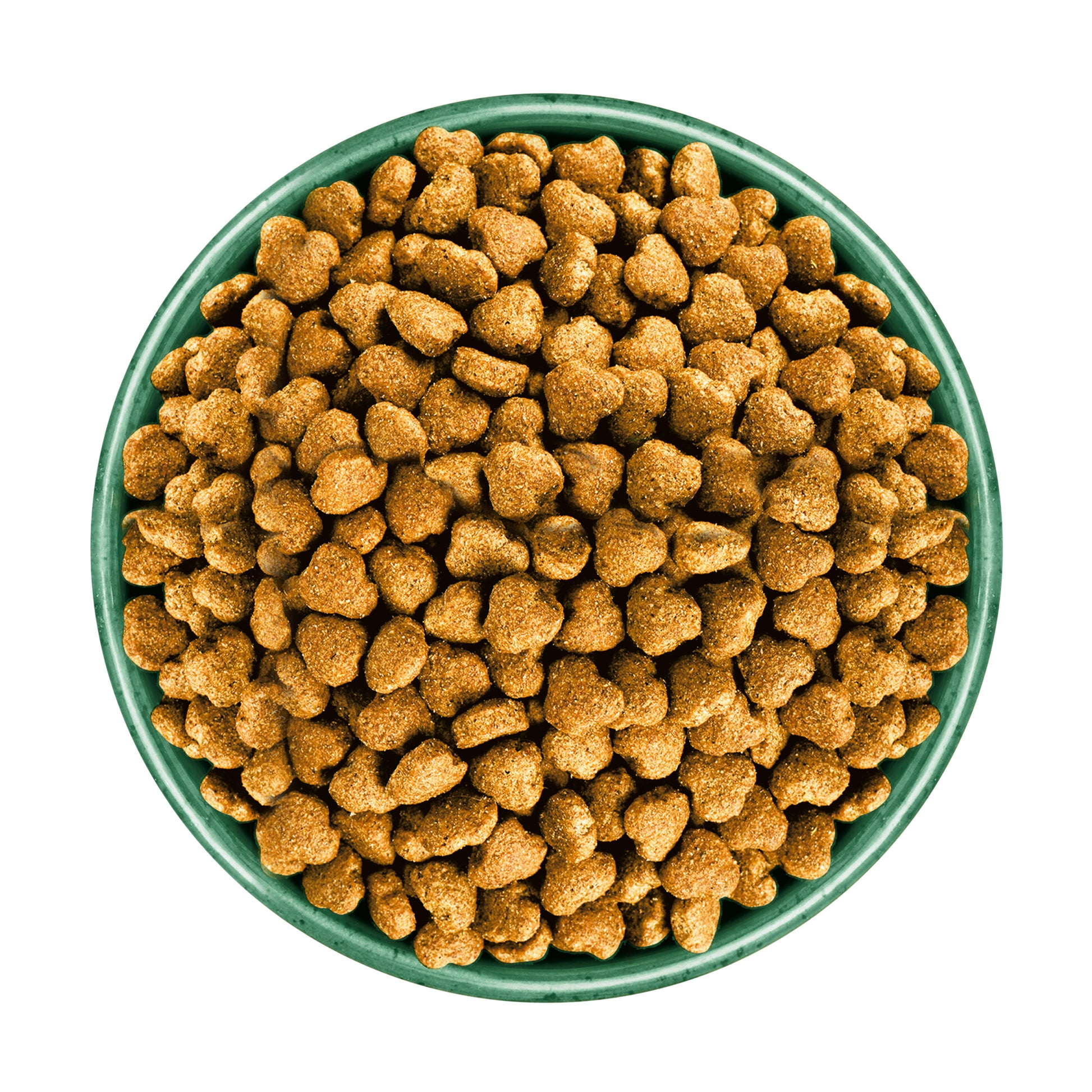 Green bowl filled with brown dog food on a white background