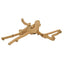 Sky Java Multibranch Perch Medium