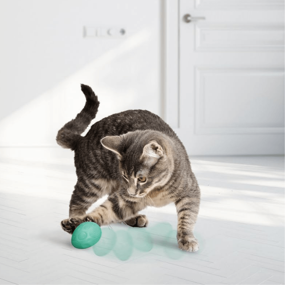 Kong Infused Catnip Egg 2pk