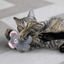 Kong Cat Snuzzles Mouse