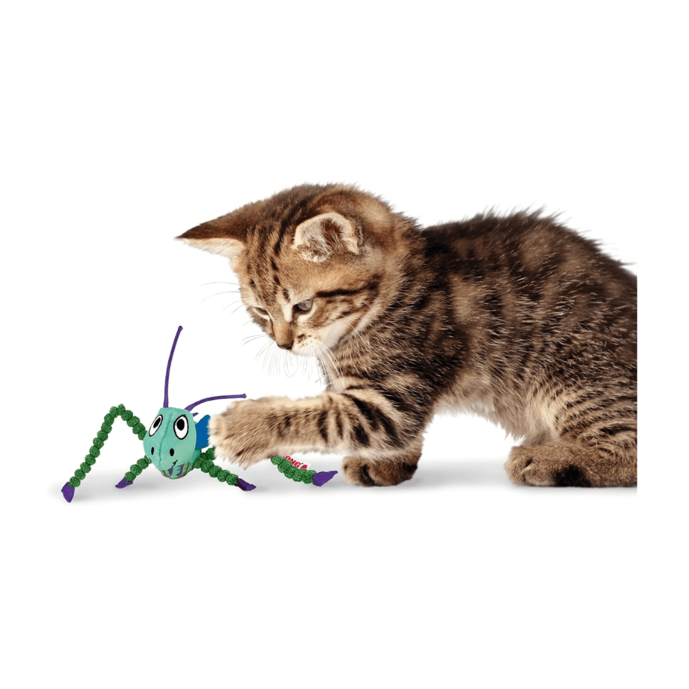 Kong Crackles Grasshopper