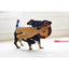 Rosewood ECO Friendly Lion 31cm
