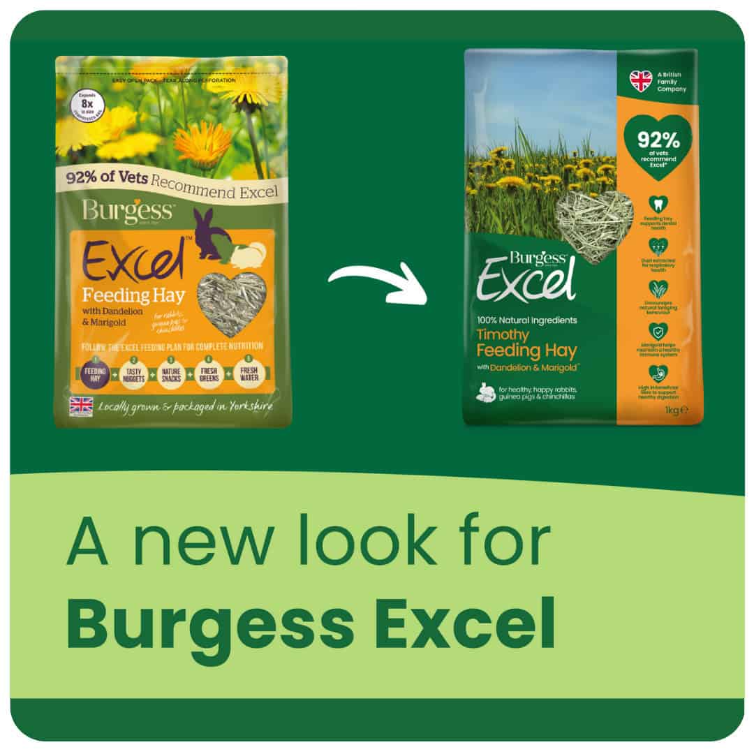 Burgess Excel | Small Pet Forage | Timothy Hay with Dandelion & Marigold - 1kg