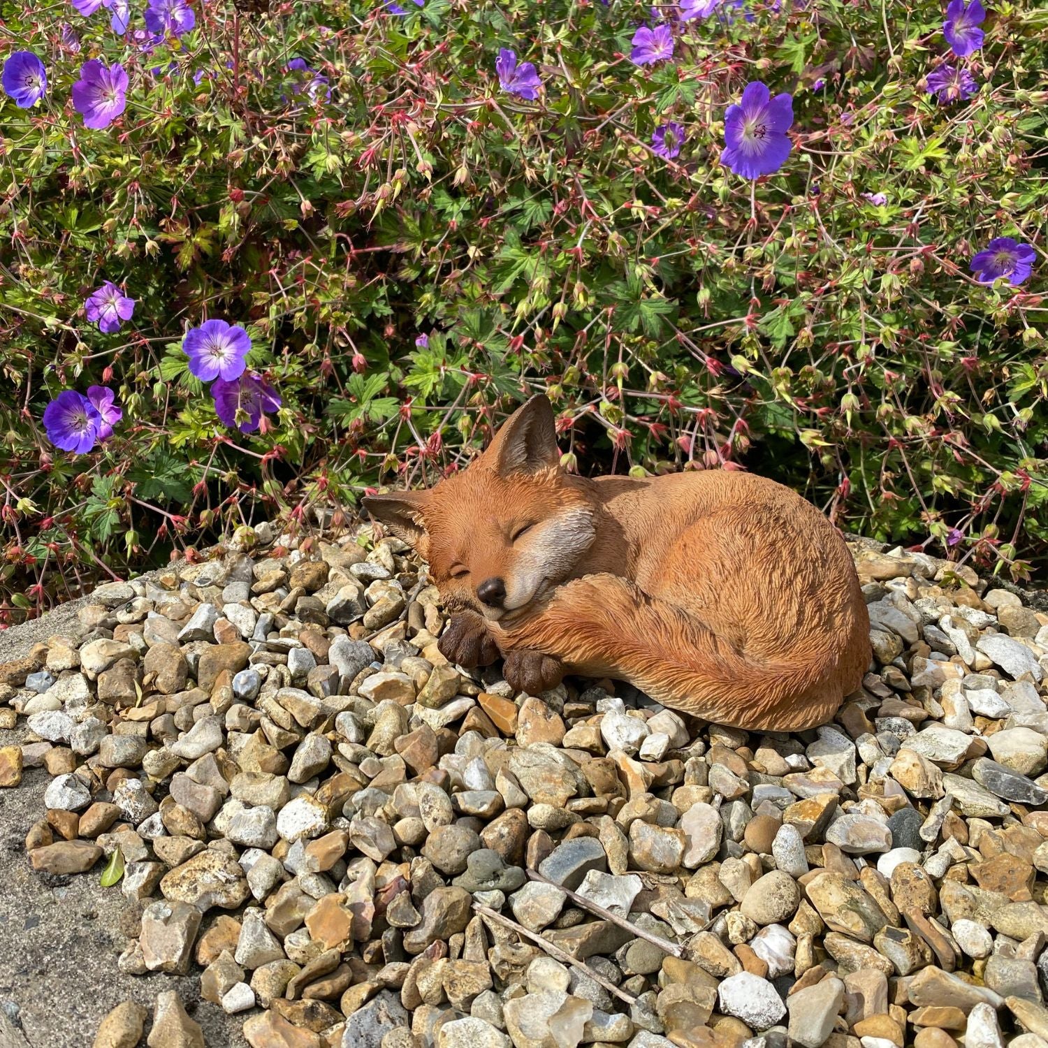 Sleeping fox on pebbles