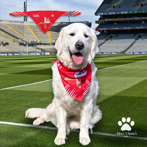 Louth GAA Dog Bandana County Football Wear for Dogs