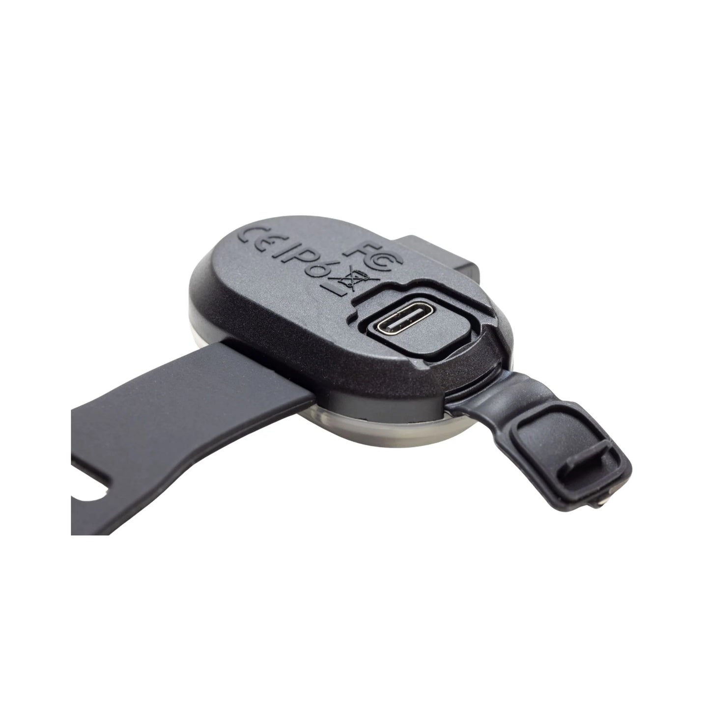 Black Dog Walking Light on a white background