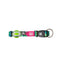 Colorful dog collar with a brand logo on a white background