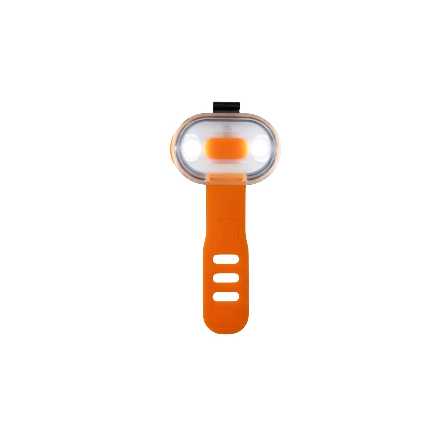 Orange Dog Walking Light on a white background