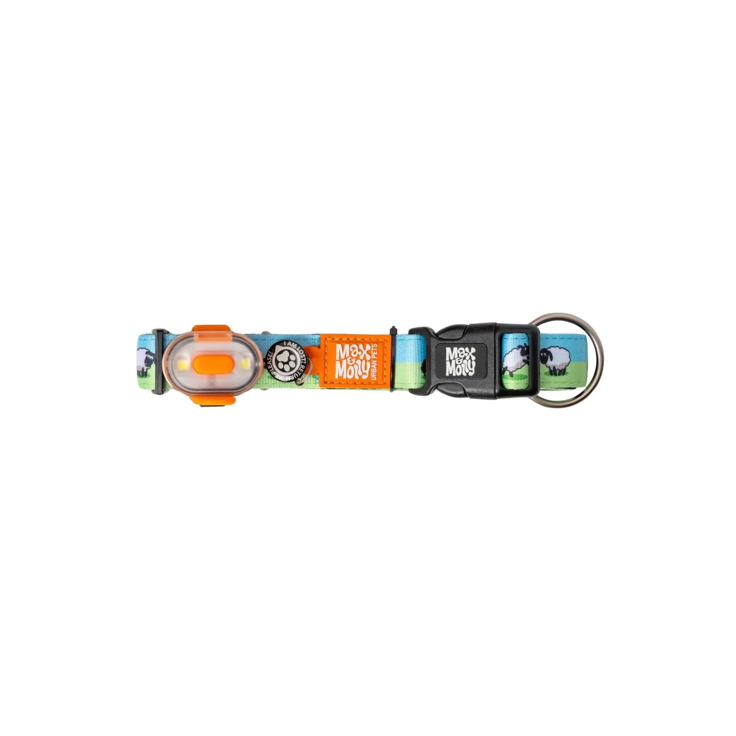 Colorful dog collar with reflective elements on a white background