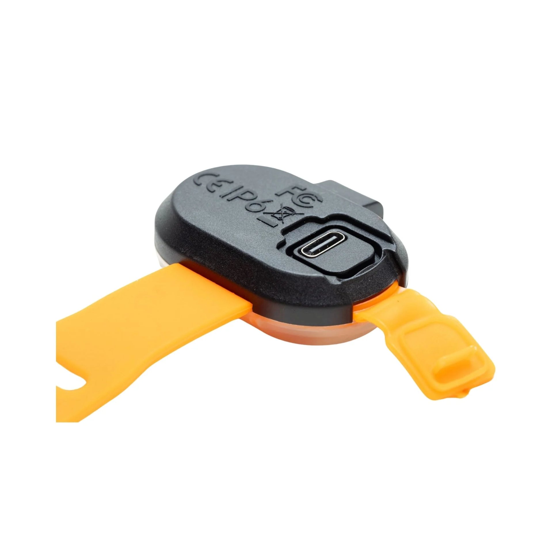 Orange Dog Walking Light on a white background