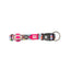 Dog collar with colorful design and brand logo on a white background