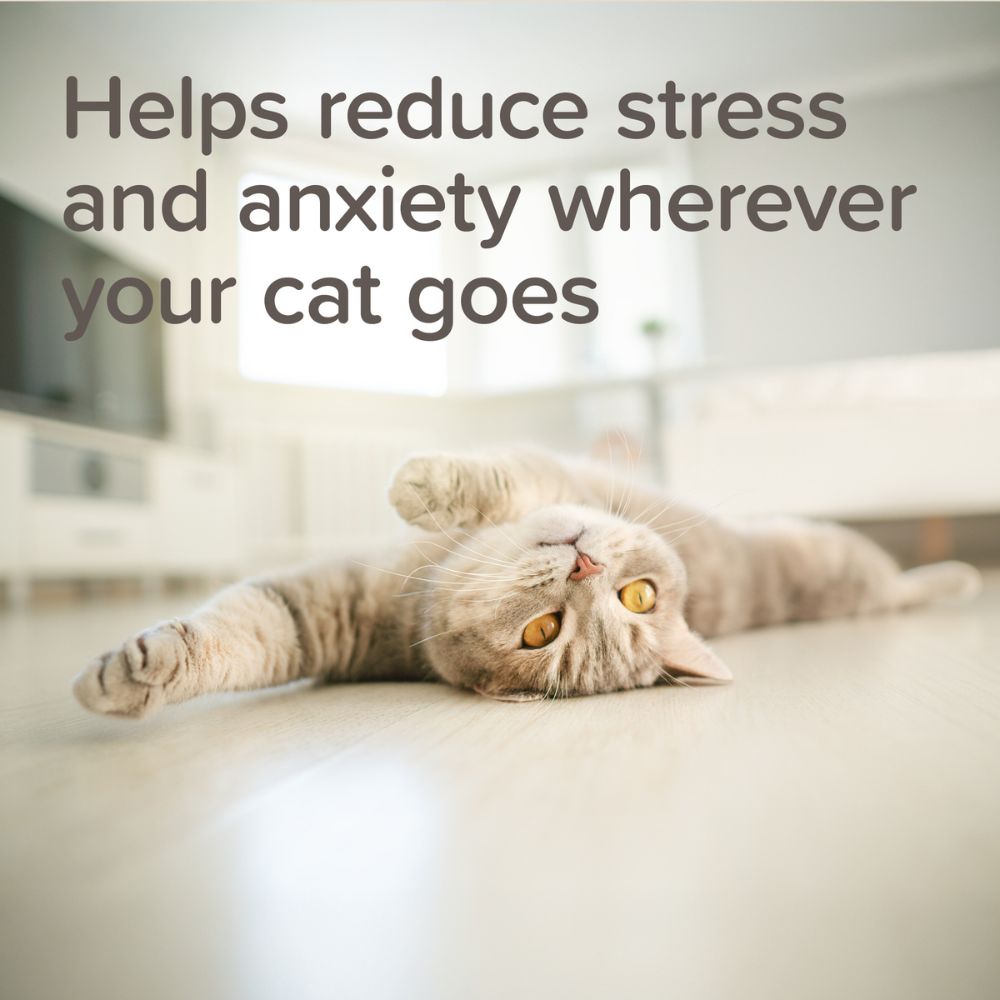 A light-colored cat lies stretched out on a light wood floor in a bright room, with large overlaid text reading, 'Helps reduce stress and anxiety wherever your cat goes.'.