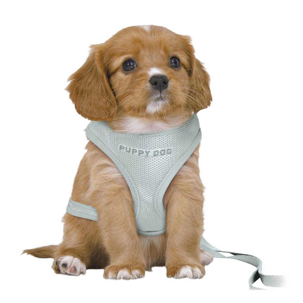 Junior Puppy Soft Harness Mint M-L