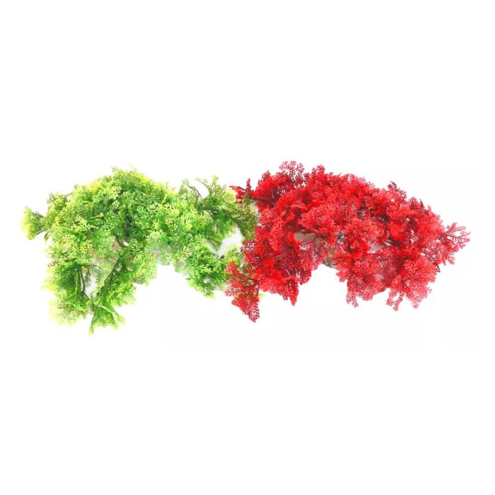 Rosewood Tropical Moss