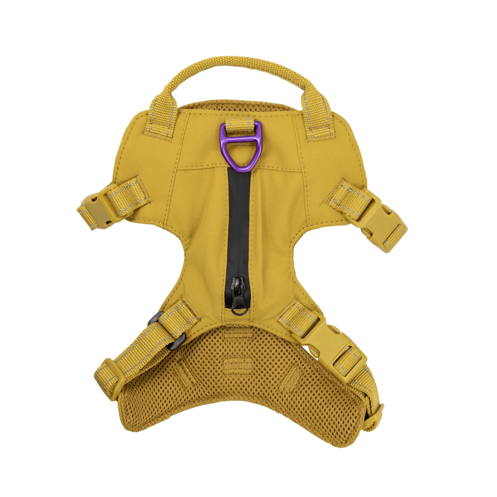 Sotnos Sport Harness- Mustard/Purple