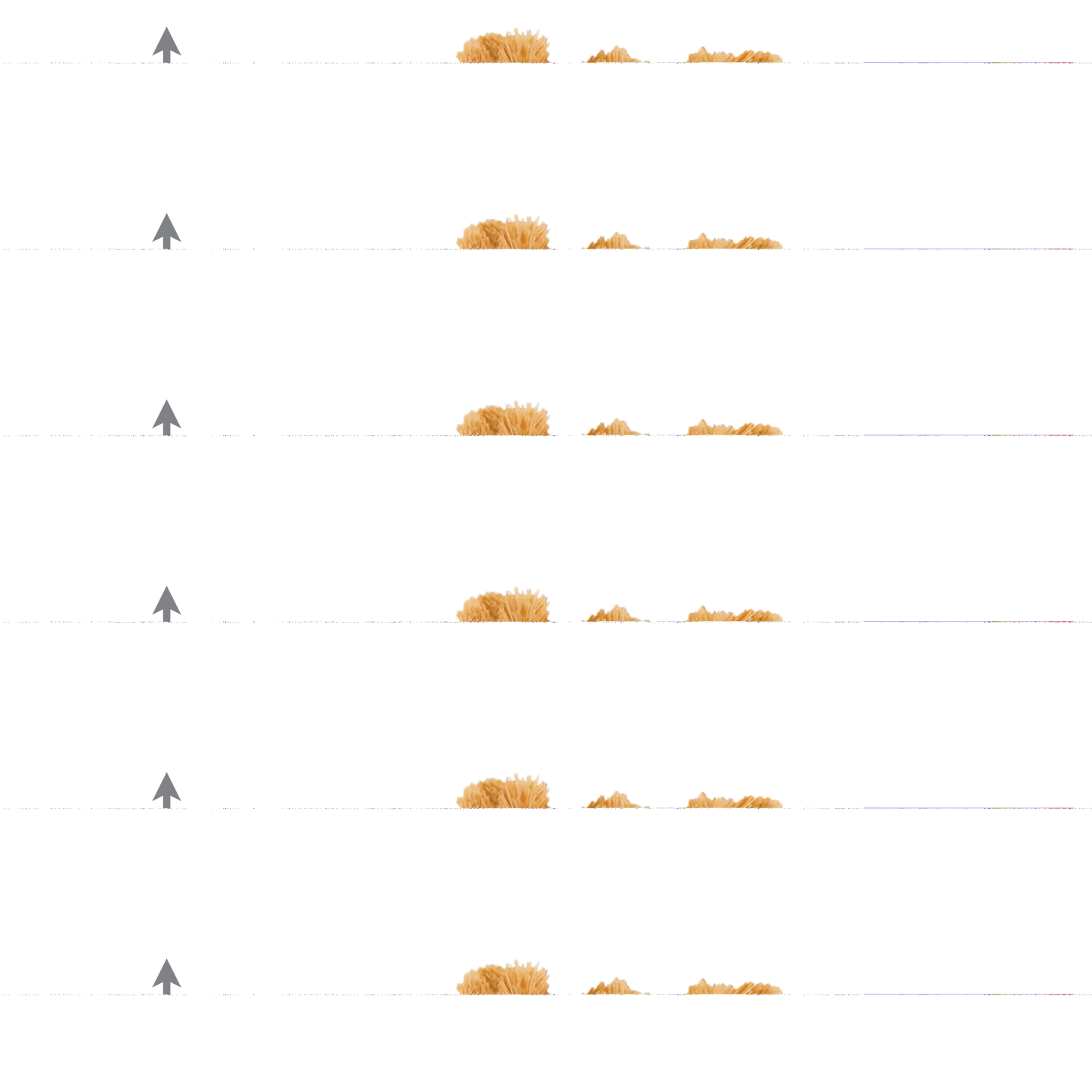 KONG Wild Knots Bear | Squeaker & Knotted Rope Dog Teddy Toy
