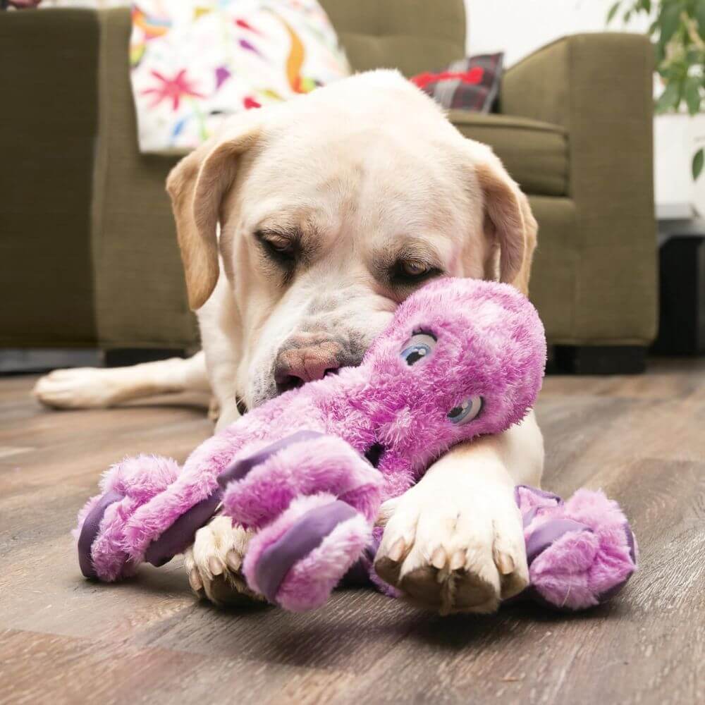 Kong Softseas Octopus Large Dog Toy