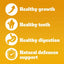 Pedigree | with Poultry & Vegetables | Complete Dry Dog Puppy Food