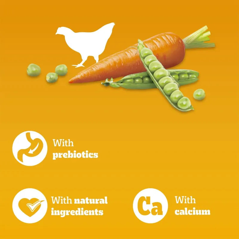 Pedigree | with Poultry & Vegetables | Complete Dry Dog Puppy Food