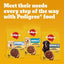Pedigree | with Poultry & Vegetables | Complete Dry Dog Puppy Food
