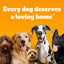 Pedigree | with Poultry & Vegetables | Complete Dry Dog Puppy Food