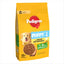 Pedigree | with Poultry & Vegetables | Complete Dry Dog Puppy Food