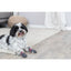 Trixie Grey Cotton Non-Slip Dog Socks | Paw Protection & Grip Socks for Slippery Floors (1 Pair)